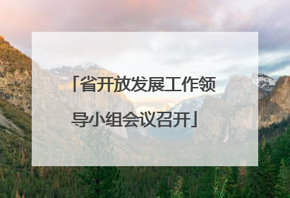 省开放发展工作领导小组会议召开