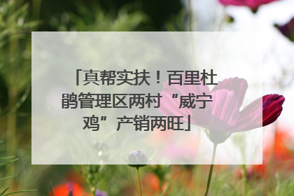 真帮实扶！百里杜鹃管理区两村“威宁鸡”产销两旺