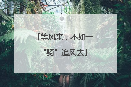 等风来，不如一“骑”追风去