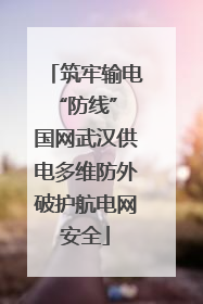 筑牢输电“防线” 国网武汉供电多维防外破护航电网安全