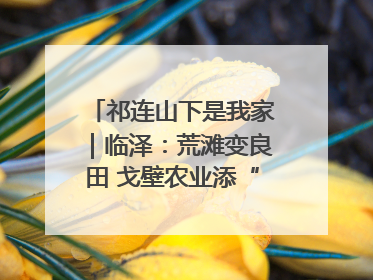 祁连山下是我家｜临泽：荒滩变良田 戈壁农业添“绿”生“金”