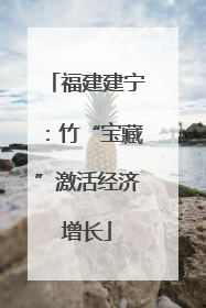 福建建宁：竹“宝藏”激活经济增长