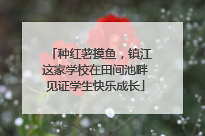 种红薯摸鱼，镇江这家学校在田间池畔见证学生快乐成长