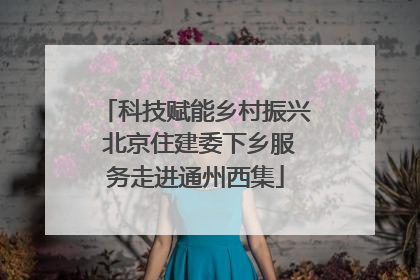 科技赋能乡村振兴 北京住建委下乡服务走进通州西集