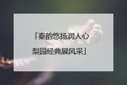 秦韵悠扬润人心 梨园经典展风采