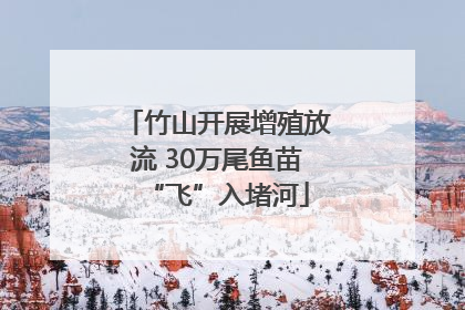 竹山开展增殖放流 30万尾鱼苗“飞”入堵河