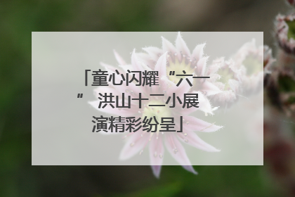 童心闪耀“六一” 洪山十二小展演精彩纷呈