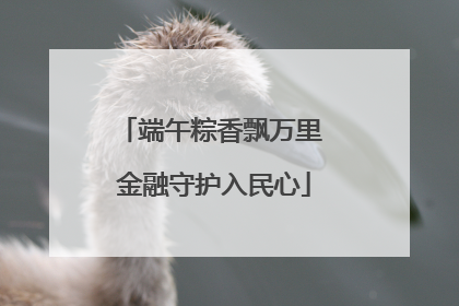 端午粽香飘万里 金融守护入民心