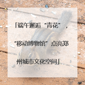 端午邂逅“青花”，“移动博物馆”点亮郑州城市文化空间