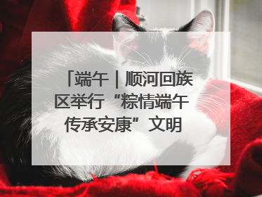 端午｜顺河回族区举行“粽情端午 传承安康”文明集市活动