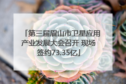 第三届眉山市卫星应用产业发展大会召开 现场签约73.35亿