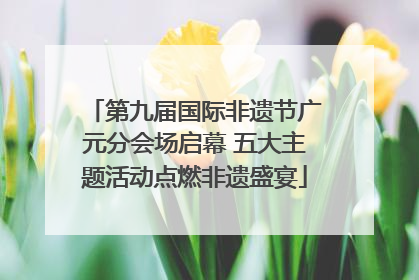 第九届国际非遗节广元分会场启幕 五大主题活动点燃非遗盛宴