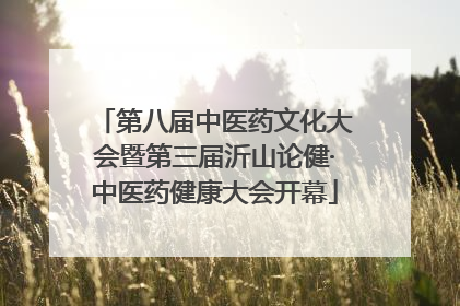 第八届中医药文化大会暨第三届沂山论健·中医药健康大会开幕