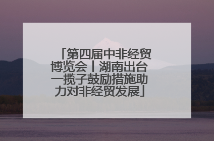 第四届中非经贸博览会丨湖南出台一揽子鼓励措施助力对非经贸发展