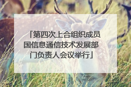 第四次上合组织成员国信息通信技术发展部门负责人会议举行