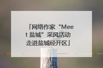 网络作家“Meet 盐城”采风活动走进盐城经开区