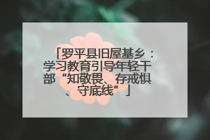 罗平县旧屋基乡：学习教育引导年轻干部“知敬畏、存戒惧、守底线”