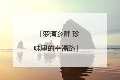 罗湾乡畔 珍味里的幸福路