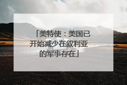 美特使：美国已开始减少在叙利亚的军事存在