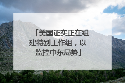 美国证实正在组建特别工作组，以监控中东局势