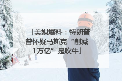 美媒爆料：特朗普曾怀疑马斯克“削减1万亿”是吹牛
