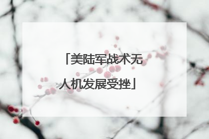 美陆军战术无人机发展受挫