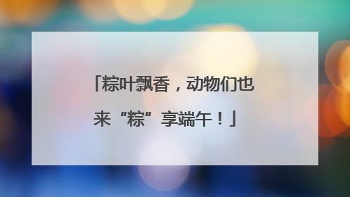 粽叶飘香，动物们也来“粽”享端午！