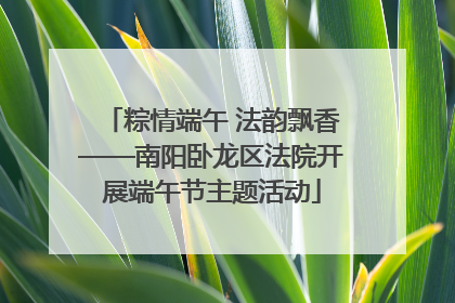 粽情端午 法韵飘香——南阳卧龙区法院开展端午节主题活动
