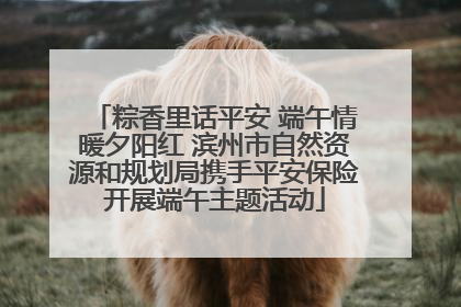 粽香里话平安 端午情暖夕阳红 滨州市自然资源和规划局携手平安保险开展端午主题活动