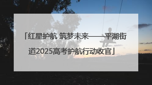 红星护航 筑梦未来——平湖街道2025高考护航行动收官