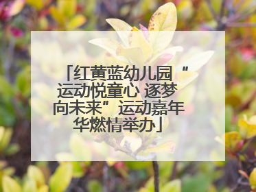 红黄蓝幼儿园“运动悦童心 逐梦向未来”运动嘉年华燃情举办