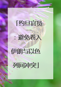 约旦官员：避免卷入伊朗与以色列间冲突