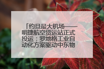 约旦最大机场——明捷航空货运站正式投运：罗地格工业自动化方案驱动中东物流未来新航向