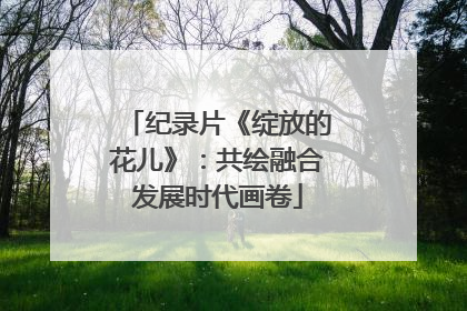 纪录片《绽放的花儿》：共绘融合发展时代画卷