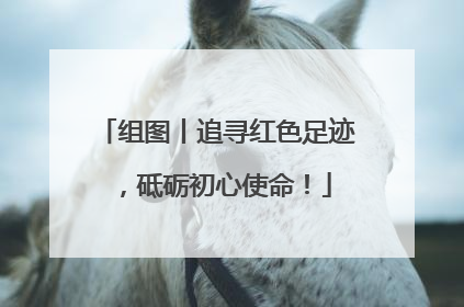 组图丨追寻红色足迹，砥砺初心使命！