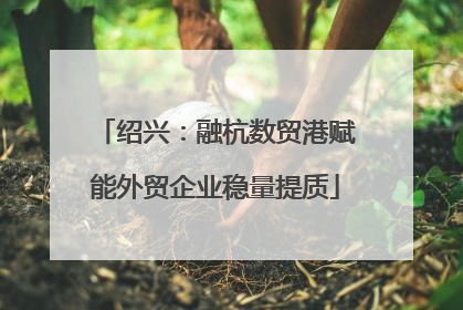 绍兴：融杭数贸港赋能外贸企业稳量提质