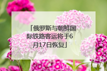 俄罗斯与朝鲜国际铁路客运将于6月17日恢复
