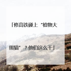 修高铁碰上“植物大熊猫”？他们这么干