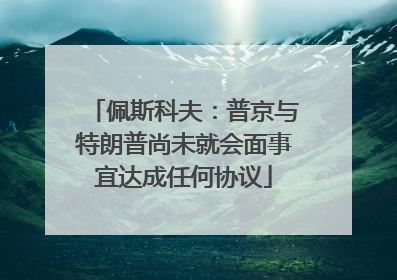 佩斯科夫：普京与特朗普尚未就会面事宜达成任何协议