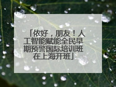 侬好，朋友！人工智能赋能全民早期预警国际培训班在上海开班