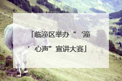 临潼区举办“‘潼’心声”宣讲大赛