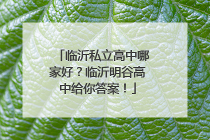 临沂私立高中哪家好?临沂明谷高中给你答案!