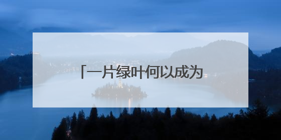 一片绿叶何以成为乡村振兴“金叶”