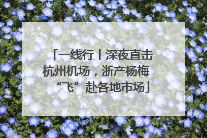 一线行丨深夜直击杭州机场，浙产杨梅“飞”赴各地市场
