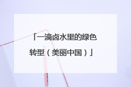 一滴卤水里的绿色转型（美丽中国）