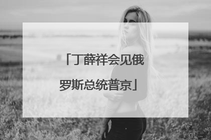 丁薛祥会见俄罗斯总统普京