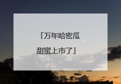 万年哈密瓜甜蜜上市了