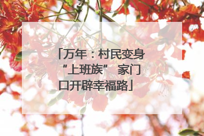 万年：村民变身“上班族” 家门口开辟幸福路