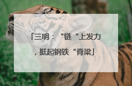 三明：“链“上发力，挺起钢铁“脊梁