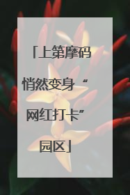 上第摩码悄然变身“网红打卡”园区